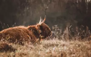 Jak Dlouho Je Angína Infekční